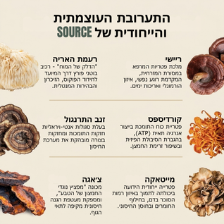 mushrooms coffee